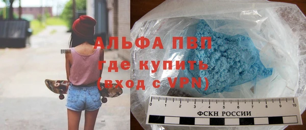 сатива Нязепетровск