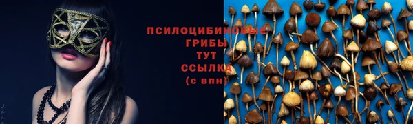 мяу мяу мука Нягань