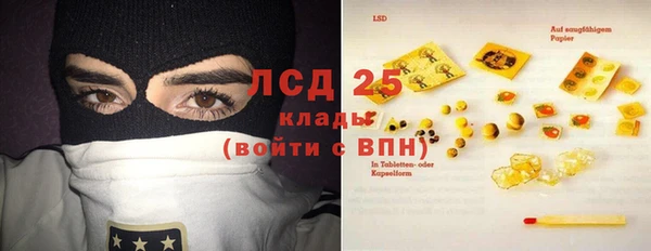 Альфа ПВП Няндома