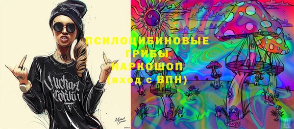 сатива Нязепетровск