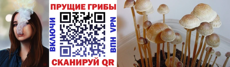 Галлюциногенные грибы MAGIC MUSHROOMS  Приморск 